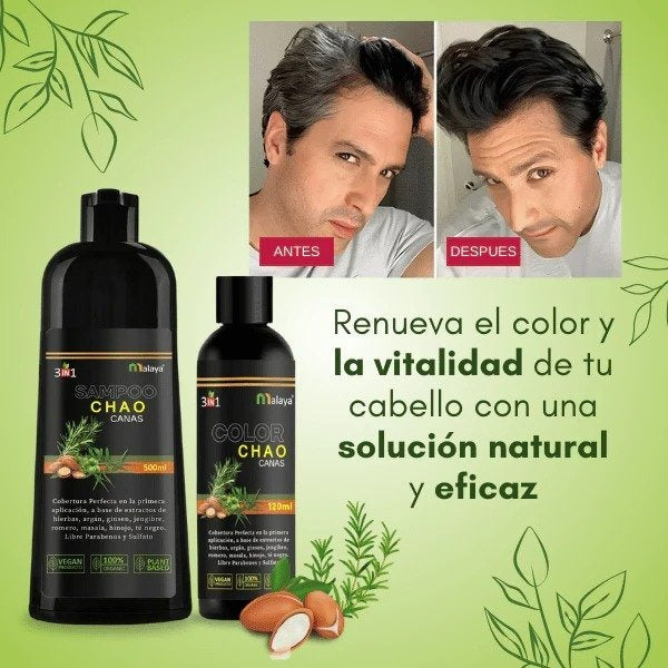 🖤 Shampoo CHAO CANAS® 3 en 1 – Cobertura de Canas al Instante
